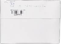 Lanatonectria flavolanata image