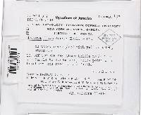 Lanatonectria flavolanata image