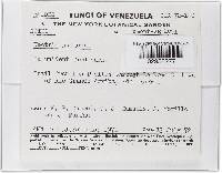 Thelonectria jungneri image