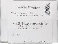 Thelonectria jungneri image