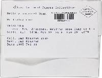 Thelonectria jungneri image