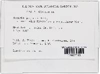 Thelonectria jungneri image