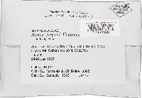 Thelonectria jungneri image