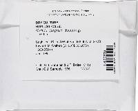 Thelonectria jungneri image