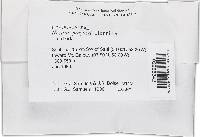 Thelonectria jungneri image