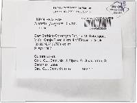 Thelonectria jungneri image