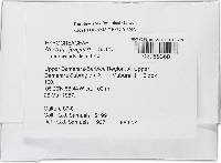 Thelonectria jungneri image