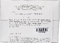 Thelonectria jungneri image