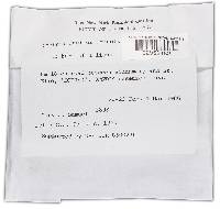 Bionectria lucifer image