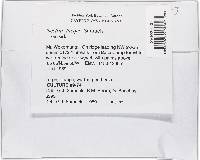 Bionectria lucifer image