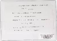 Nectriopsis violacea image