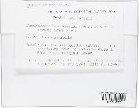 Media resource of Bionectria aurantia