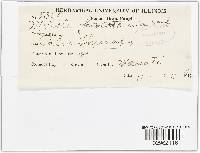 Media resource of Meliola acristae