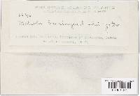 Image Associated With the Occurrence