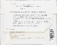 Media resource of Arthroderma uncinatum