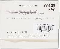 Image Associated With the Occurrence