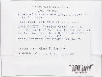 Image Associated With the Occurrence