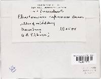 Image Associated With the Occurrence