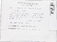 Image Associated With the Occurrence