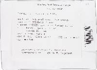 Image Associated With the Occurrence