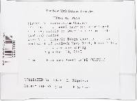 Image Associated With the Occurrence