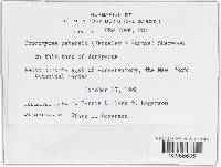 Image Associated With the Occurrence