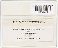 Image Associated With the Occurrence