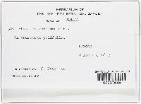 Thumbnail image of current specimen