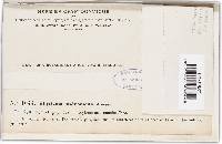 Image Associated With the Occurrence