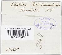 Image Associated With the Occurrence