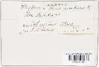 Image Associated With the Occurrence