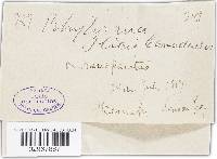 Image Associated With the Occurrence