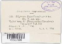 Image Associated With the Occurrence