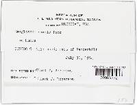 Image Associated With the Occurrence