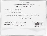 Image Associated With the Occurrence