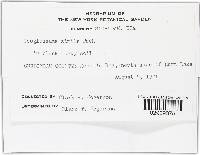 Image Associated With the Occurrence