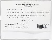 Image Associated With the Occurrence