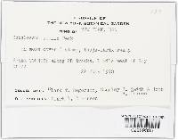 Image Associated With the Occurrence