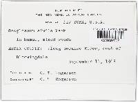 Image Associated With the Occurrence