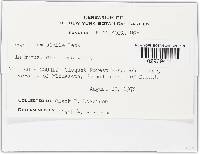 Image Associated With the Occurrence