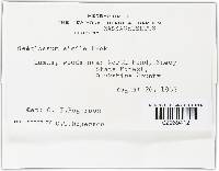 Image Associated With the Occurrence