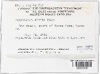 Image Associated With the Occurrence