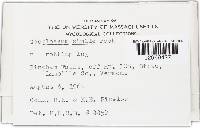 Image Associated With the Occurrence