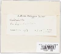 Image Associated With the Occurrence