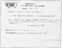 Image Associated With the Occurrence