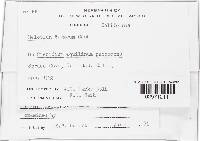 Image Associated With the Occurrence