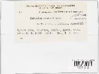 Image Associated With the Occurrence