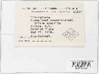 Image Associated With the Occurrence