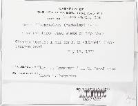 Image Associated With the Occurrence