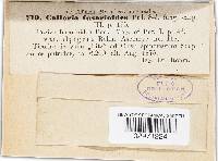 Image Associated With the Occurrence